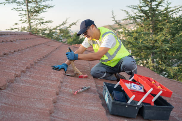 Best Roof Coating Services  in Lamont, MI